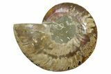 Cut & Polished Ammonite Fossil (Half) - Madagascar #379232-1